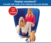 Petplan6