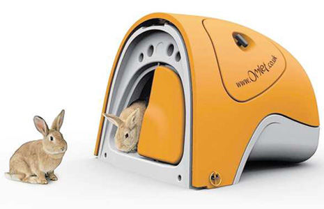 RabbitEgglu