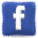 furry_cushion_facebook
